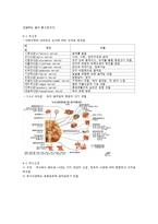 [생명공학] 신경계의 신비-4