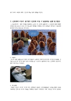 [생명공학] 신경계의 신비-6