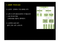 [생명공학] 신경계의 신비-2