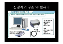 [생명공학] 신경계의 신비-5