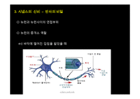 [생명공학] 신경계의 신비-6
