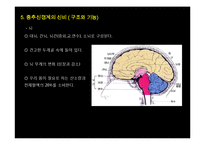 [생명공학] 신경계의 신비-8