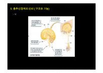 [생명공학] 신경계의 신비-9
