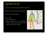 [생명공학] 신경계의 신비-10