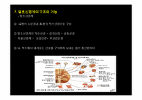 [생명공학] 신경계의 신비-11