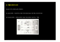 [생명공학] 신경계의 신비-12