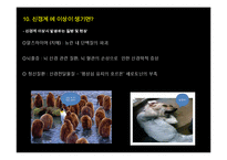 [생명공학] 신경계의 신비-15