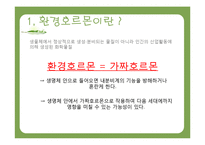 환경호르몬과 생태계-4