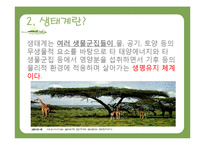 환경호르몬과 생태계-5