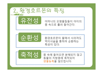 환경호르몬과 생태계-9