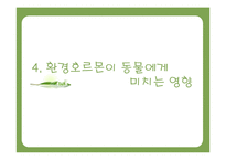 환경호르몬과 생태계-15