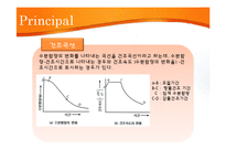 [식품공학 및 실험] 당근의 건조-10
