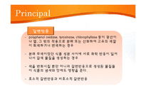 [식품공학 및 실험] 당근의 건조-14