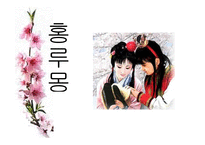홍루몽 작품분석-1