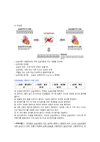 [간호] 심실성 부정맥 EKG & ACLS-4