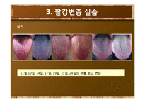 [병리학] 약물투여 전후 관찰을 통한 팔강변증 실습-9