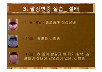 [병리학] 약물투여 전후 관찰을 통한 팔강변증 실습-10