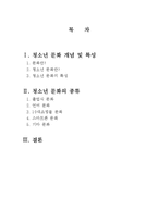 청소년 문화 개념 및 특성, 종류-2