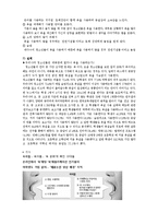 청소년 문화 개념 및 특성, 종류-11