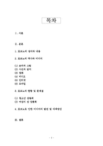 미디어와 포르노-2