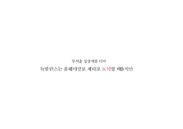 [광고기획] 뉴발란스 IMC 전략-8