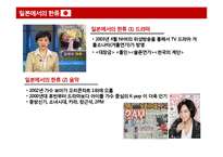 반한류 현상, 한류의 한계와 과제-5