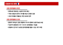 반한류 현상, 한류의 한계와 과제-11