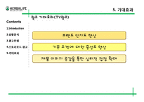 [광고론] 허벌라이프 광고기획서-20