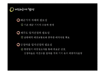 [정책학] 제주 해군 기지 건설의 문제점과 교훈-7