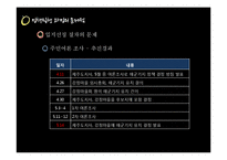 [정책학] 제주 해군 기지 건설의 문제점과 교훈-13