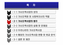 [아동복지] 가사조력사업의 실제 및 문제점, 현황 및 비교 분석-9