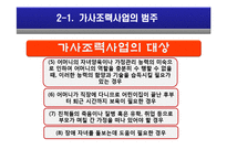 [아동복지] 가사조력사업의 실제 및 문제점, 현황 및 비교 분석-11