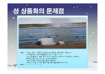 TV 광고 속 성 상품화가 대중에게 미치는 영향-14