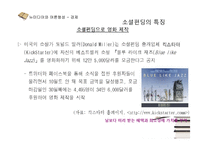 뉴미디어 SNS와 정치,경제,사회,문화 전반 여론형성-20
