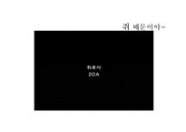 [방송] 팟캐스트 나꼼수 `나는 꼼수다` 에 대하여-10