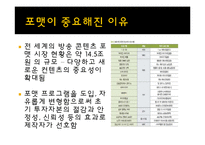 [방송] 포맷 프로그램의 성공 사례, 한계점 - 포맷 수입, 수출 성공사례-3