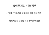 국민의 정부, 참여정부의 대북정책-11