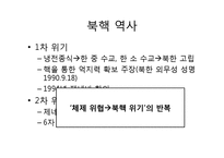 국민의 정부, 참여정부의 대북정책-12