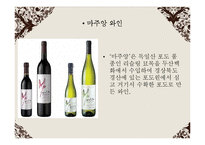 포도주 와인 분석-9