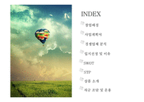 [사업계획서] 인바운드 외국인 여행객을 대상으로 `자원봉사 여행` 중개업-2