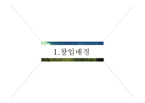 [사업계획서] 인바운드 외국인 여행객을 대상으로 `자원봉사 여행` 중개업-6
