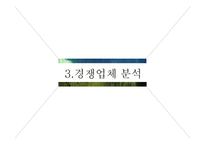 [사업계획서] 인바운드 외국인 여행객을 대상으로 `자원봉사 여행` 중개업-13