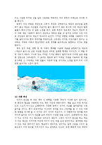 [유아문학] 그림책 아티스트 이수지 작가 작품분석-11