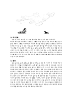 [유아문학] 그림책 아티스트 이수지 작가 작품분석-13