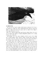 [유아문학] 그림책 아티스트 이수지 작가 작품분석-14