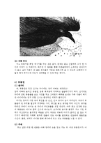 [유아문학] 그림책 아티스트 이수지 작가 작품분석-15