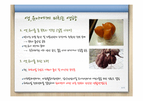 [안전관리] 영유아 방사능 안전교육-6