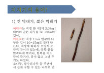 [한국전통문화, 유아교육] 자치기의 유래와 방법-7