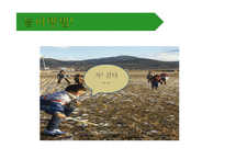 [한국전통문화, 유아교육] 자치기의 유래와 방법-11