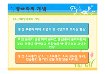 [교육사회학] 교육양극화와 교육을 통한 사회 양극화의 원인 및 문제점, 대책 및 예방법-4